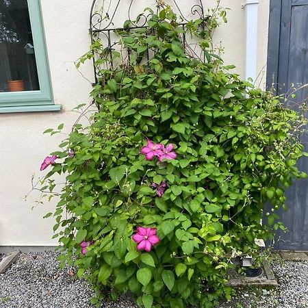 Ferienwohnung Rural Cosy Retreat For Two Near Port Isaac Delabole Exterior foto